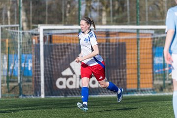 Bild 154 - F Hamburger SV 3 - Blau-Weiss 96 : Ergebnis: 5:1